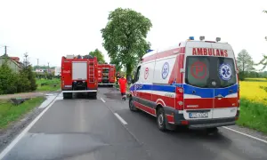 Strażacki bosak leży na drodze obok wozu strażackiego i karetki pogotowia.