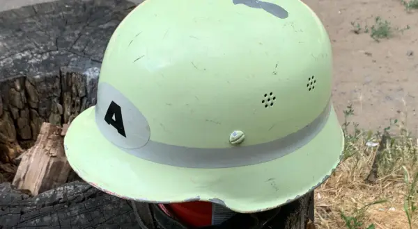 Jasnozielony hełm z czarną cyfrą "4" na białej naklejce, leżący na pniu drzewa.