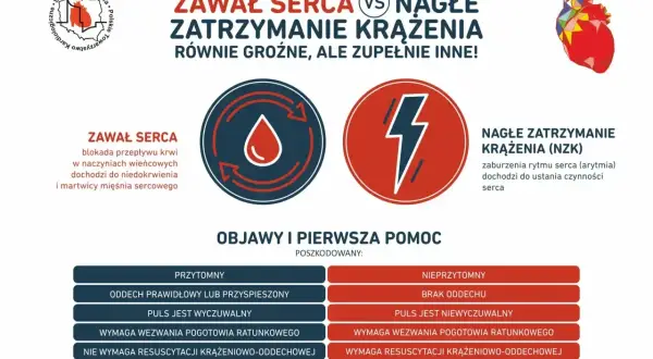 Zawał serca a nagłe zatrzymanie krążenia: różnice i pierwsza pomoc. W przypadku NZK kluczowe jest szybkie działanie.